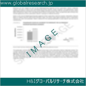 グローバルリサーチ調査資料のイメージ